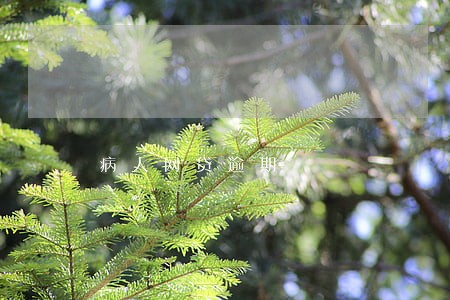 病人网贷逾期 病人网贷逾期