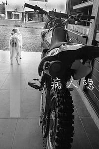 病人隐私需要保护吗法律常识 病人隐私需要保护吗法律常识