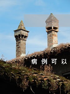 病例可以消除逾期吗 病例可以消除逾期吗