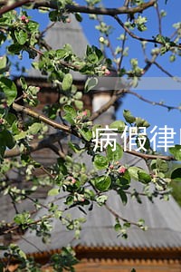 病假律师 病假律师