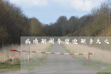 病情期间车贷逾期多久之内没事 病情期间车贷逾期多久之内没事