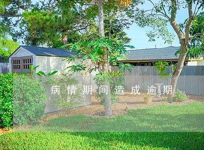 病情期间造成逾期 病情期间造成逾期