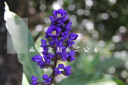 病案逾期处罚公告 病案逾期处罚公告