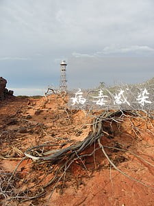 病毒感染时间逾期有事吗 病毒感染时间逾期有事吗