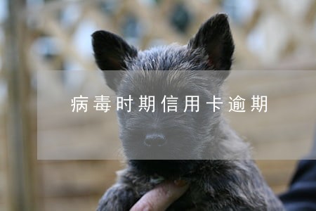 病毒时期信用卡逾期
