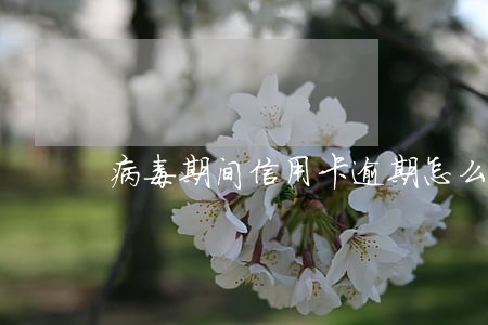 病毒期间信用卡逾期怎么办 病毒期间信用卡逾期怎么办