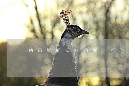 病毒期间现在逾期上征信吗 病毒期间现在逾期上征信吗