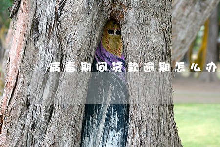 病毒期间贷款逾期怎么办 病毒期间贷款逾期怎么办