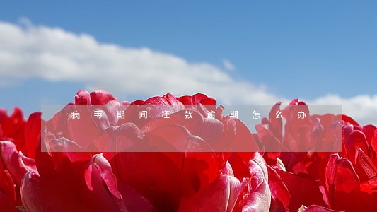 病毒期间还款逾期怎么办 病毒期间还款逾期怎么办