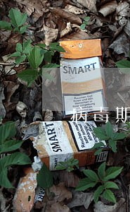 病毒期间逾期会不会被纳入征信 病毒期间逾期会不会被纳入征信
