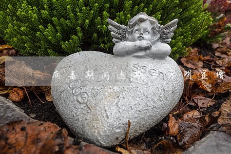 病毒期间逾期客户明显增加吗 病毒期间逾期客户明显增加吗