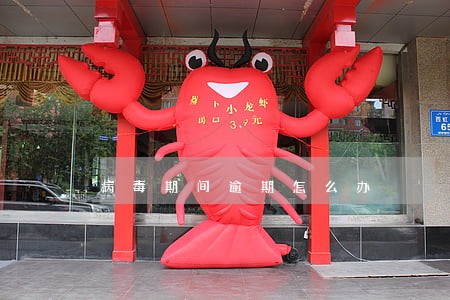 病毒期间逾期怎么办 病毒期间逾期怎么办