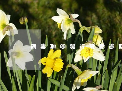 病毒期间银行贷款逾期浙江 病毒期间银行贷款逾期浙江