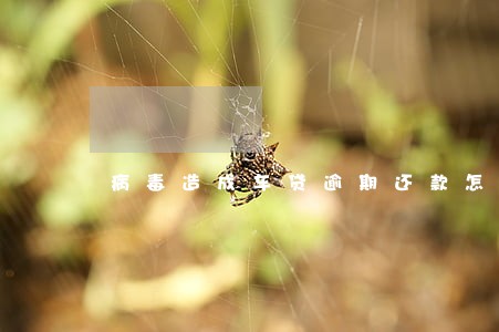 病毒造成车贷逾期还款怎么办 病毒造成车贷逾期还款怎么办