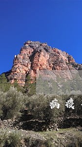 病疫期间车贷逾期 病疫期间车贷逾期