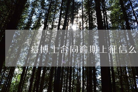 痘博士合同逾期上征信么 痘博士合同逾期上征信么