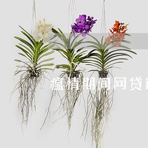 瘟情期间网贷逾期 瘟情期间网贷逾期