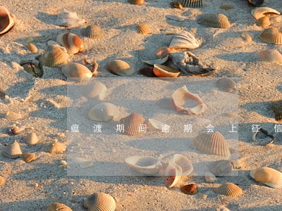 瘟渡期间逾期会上征信吗 瘟渡期间逾期会上征信吗