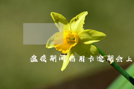 瘟疫期间信用卡逾期会上征信吗
