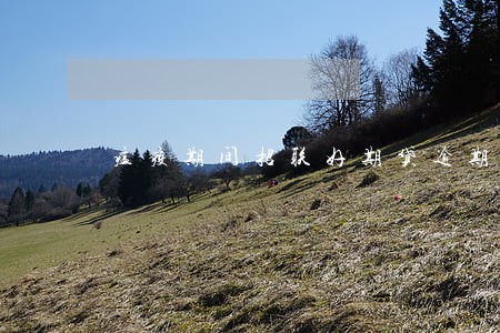 瘟疫期间招联好期贷逾期 瘟疫期间招联好期贷逾期