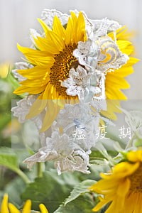 瘟疫期间有钱花逾期 瘟疫期间有钱花逾期