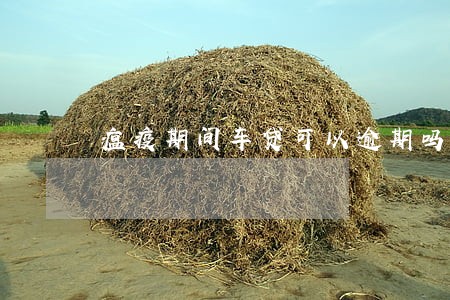 瘟疫期间车贷可以逾期吗