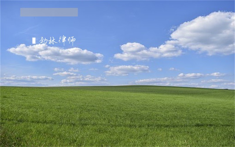 瘳劲林律师 瘳劲林律师