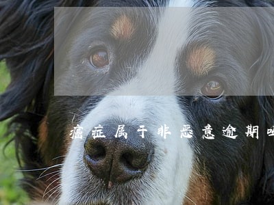 癌症属于非恶意逾期吗 癌症属于非恶意逾期吗