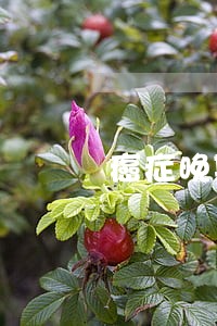 癌症晚期信用卡逾期如何协商 癌症晚期信用卡逾期如何协商