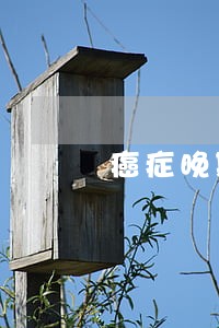 癌症晚期因信用卡逾期被起诉 癌症晚期因信用卡逾期被起诉