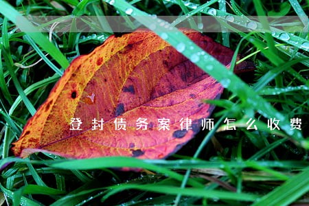 登封债务案律师怎么收费 登封债务案律师怎么收费