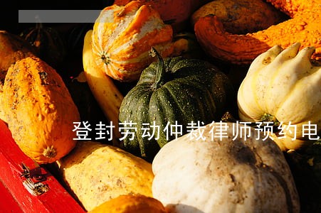 登封劳动仲裁律师预约电话 登封劳动仲裁律师预约电话