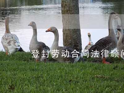 登封劳动合同法律顾问