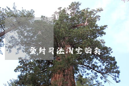 登封司法淘宝拍卖 登封司法淘宝拍卖