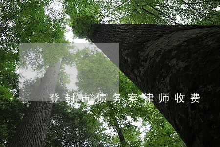 登封市债务案律师收费 登封市债务案律师收费