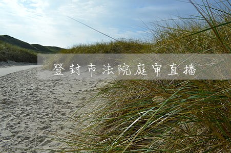 登封市法院庭审直播 登封市法院庭审直播
