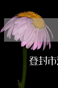 登封市法院王学亮 登封市法院王学亮