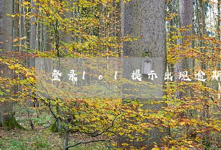 登录lol提示出现逾期的错误 登录lol提示出现逾期的错误