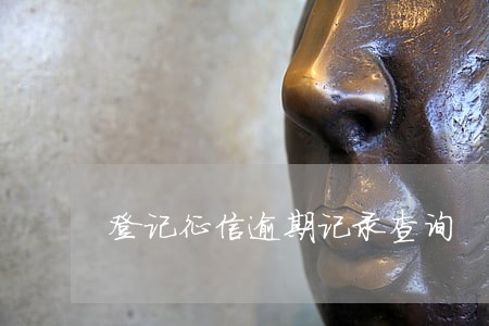 登记征信逾期记录查询 登记征信逾期记录查询