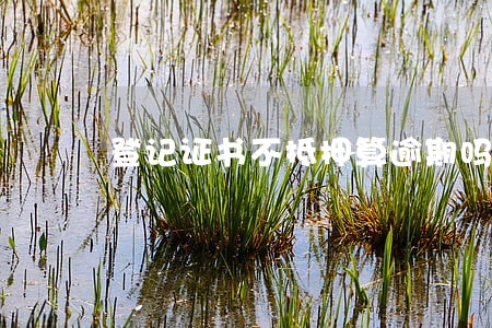 登记证书不抵押算逾期吗 登记证书不抵押算逾期吗
