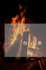 白云区专业债务律师在线 白云区专业债务律师在线