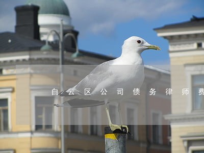 白云区公司债务律师费用 白云区公司债务律师费用