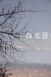 白云区委托合同纠纷诉讼律师 白云区委托合同纠纷诉讼律师