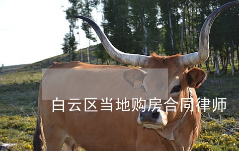 白云区当地购房合同律师 白云区当地购房合同律师