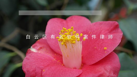 白云区有名软件案件律师 白云区有名软件案件律师
