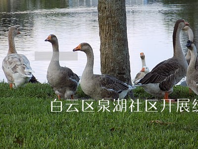 白云区泉湖社区开展统计法规学习 白云区泉湖社区开展统计法规学习