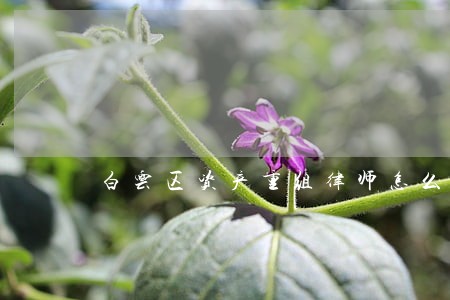白云区资产重组律师怎么收费 白云区资产重组律师怎么收费