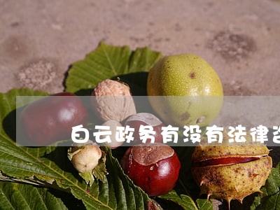 白云政务有没有法律咨询 白云政务有没有法律咨询