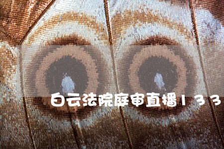 白云法院庭审直播133件案件 白云法院庭审直播133件案件