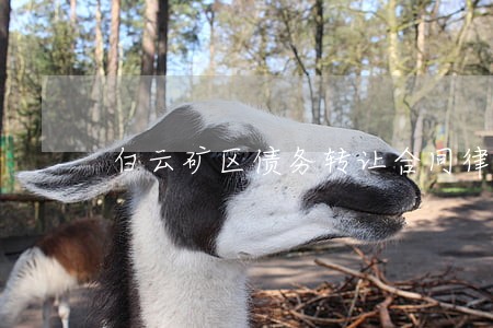 白云矿区债务转让合同律师 白云矿区债务转让合同律师